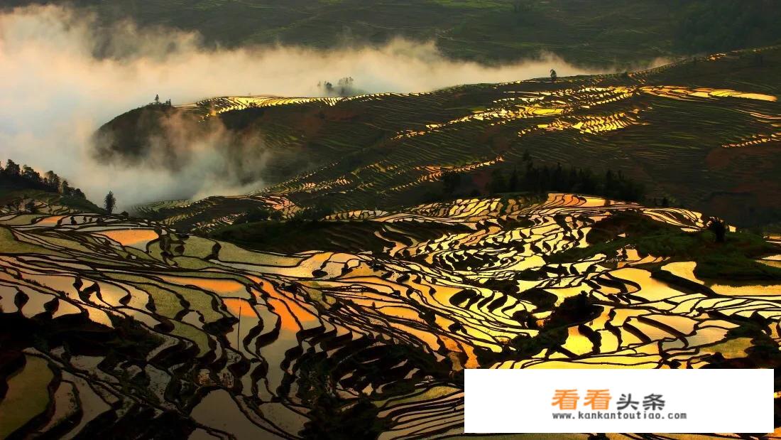 过年去云南旅游，合适吗？