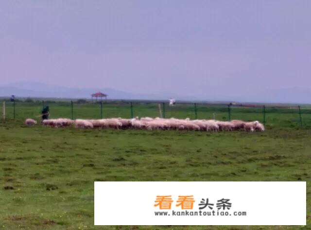 从长春到坝上草原自驾车路线？