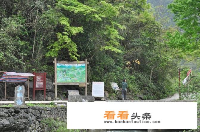 梵高森林旅游攻略？