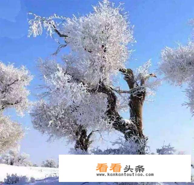 冬季去敦煌的问题？