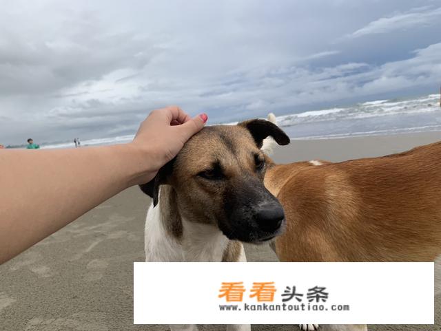 沙巴岛有哪些好玩的地方，沙巴岛旅游全攻略？