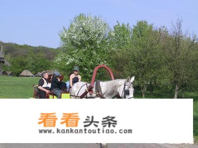 为什么现在很多旅游景区都选择旅游马车？