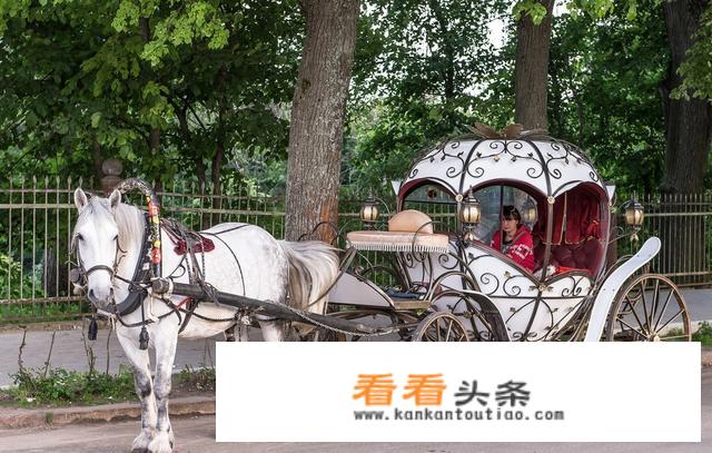 为什么现在很多旅游景区都选择旅游马车？