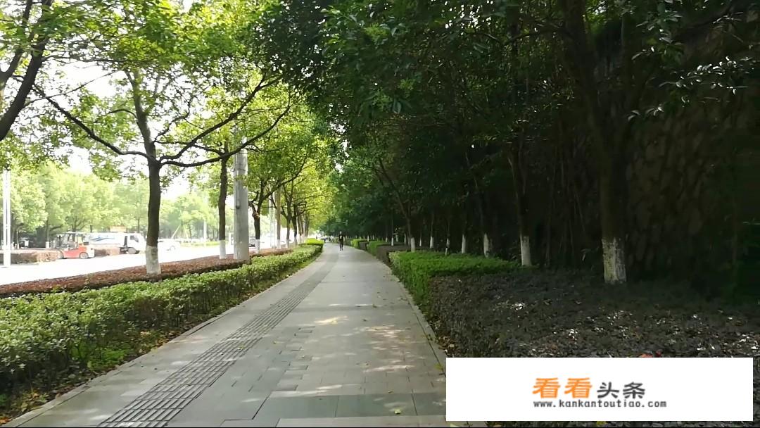 2022春节可以在国内旅游吗？