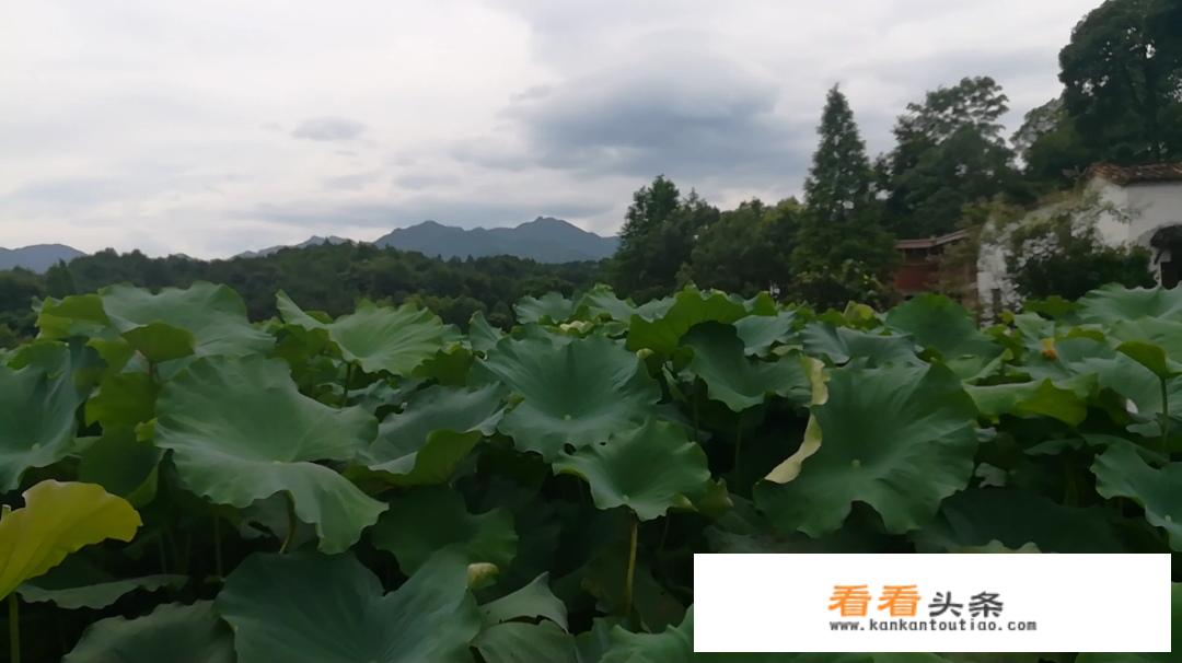 2022春节可以在国内旅游吗？