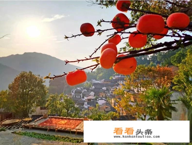 过年旅游哪个城市更好？