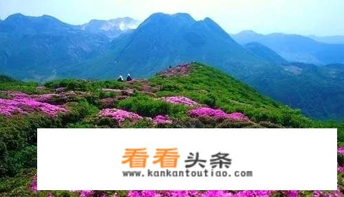 假日旅游是从什么时候形成？