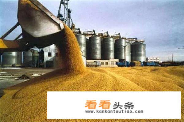 从现在到2019年的3月，我国会进口外国的玉米吗？
