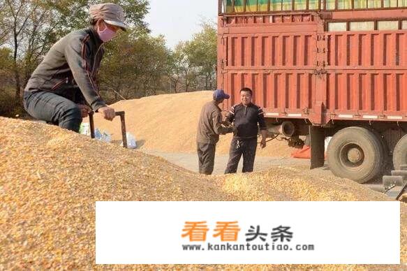 从现在到2019年的3月，我国会进口外国的玉米吗？