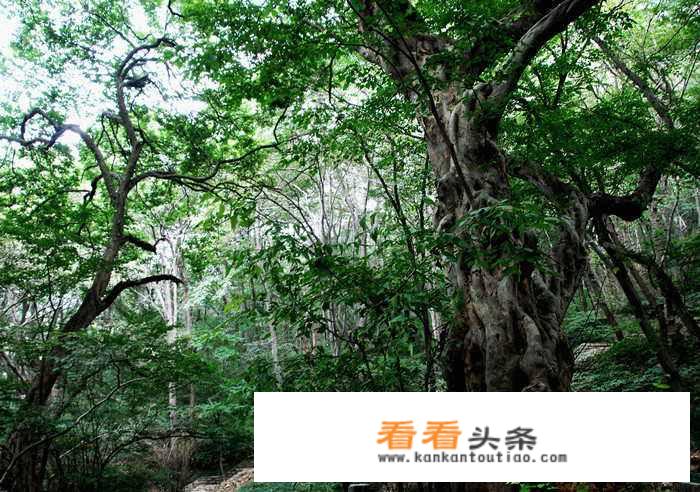 宿州周边城市适合2天游的地方？