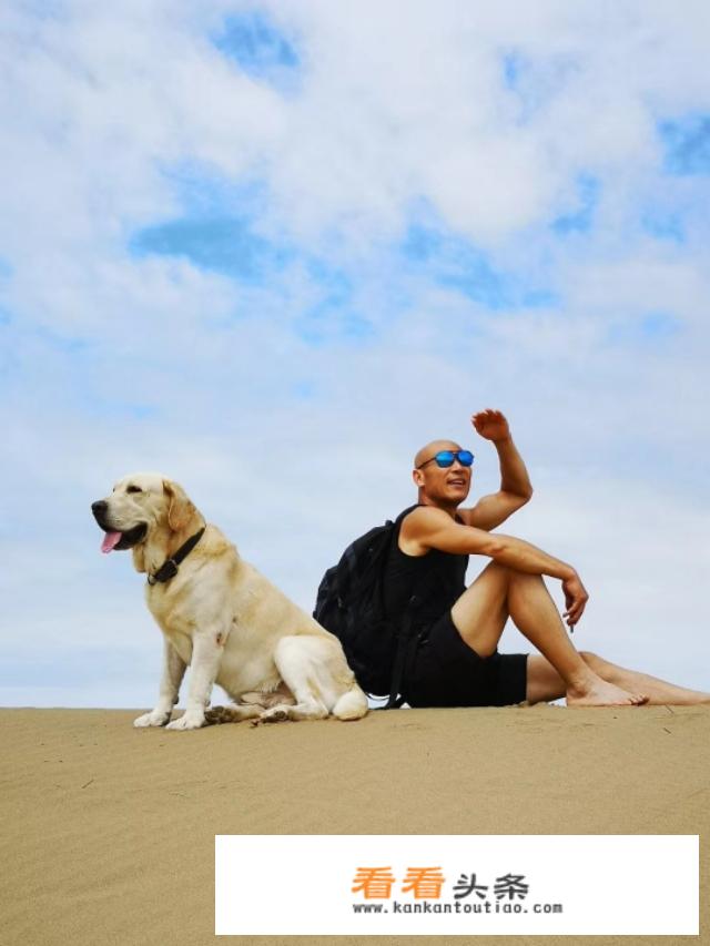 介绍景点主持人结束词？