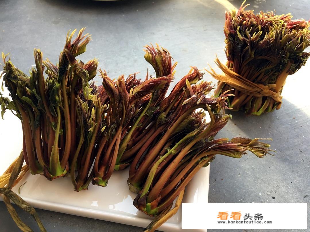 香椿头树怎么种植？
