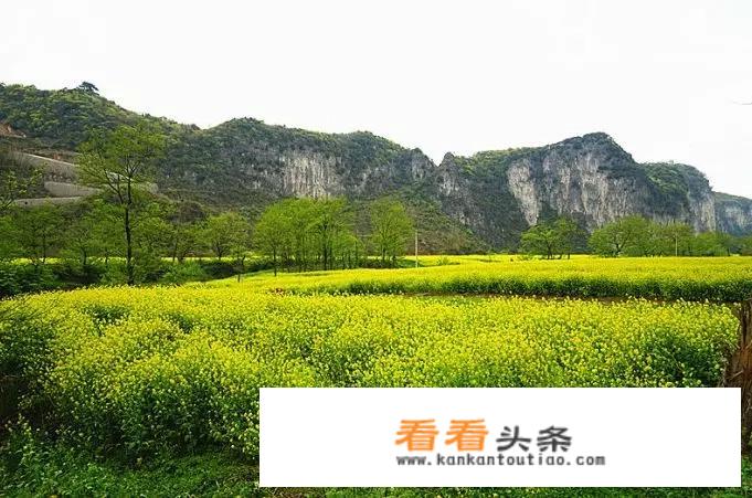 贵阳春天适合玩的地方？