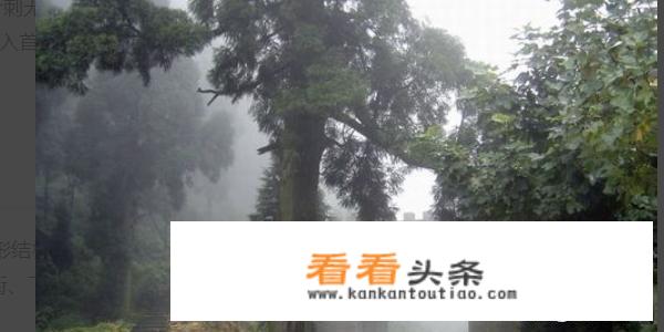 仙居旅游景点？