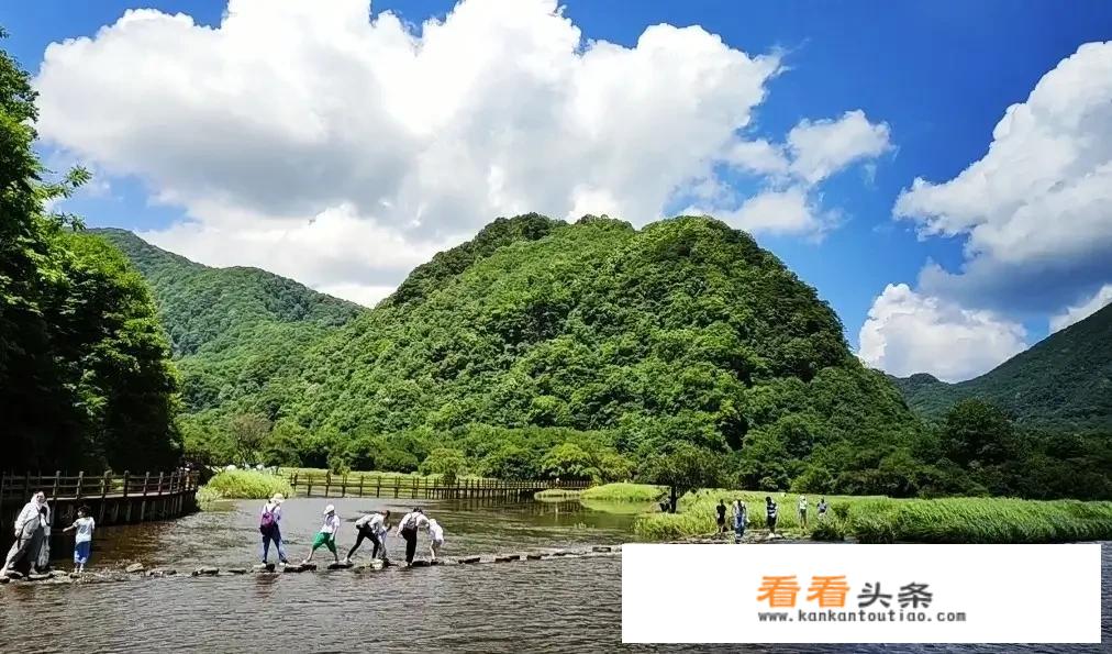旅行团是群体还是团队？