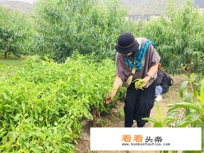出去旅游用什么装衣服方便？