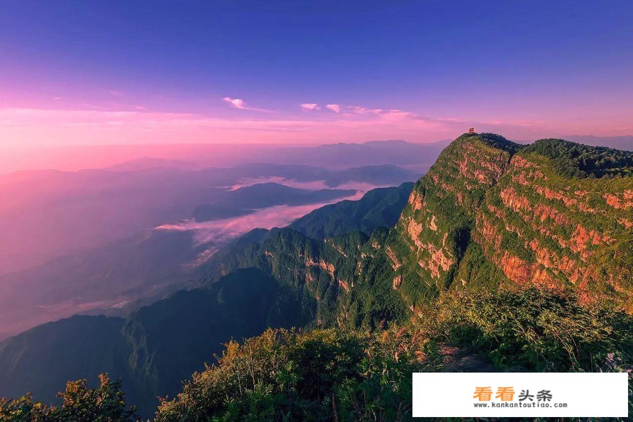 旅行社应该怎么运营？