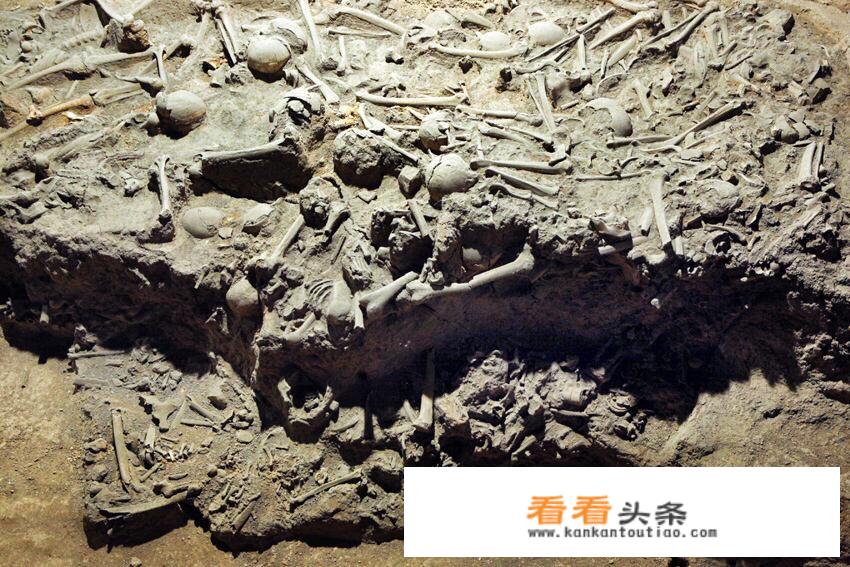 旅行考察有什么要求？