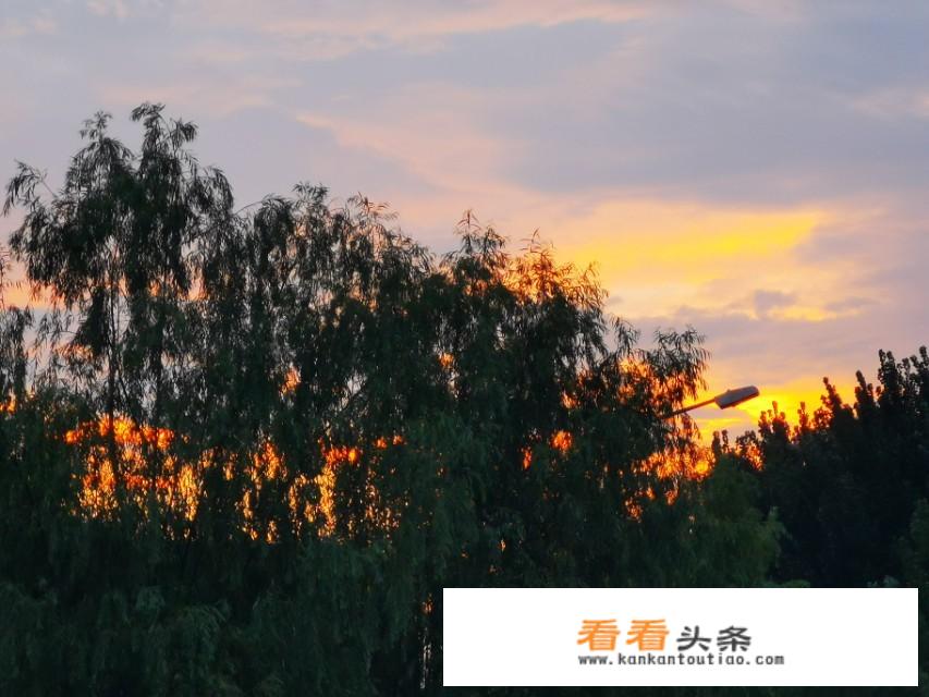 华为原装屏有色差？