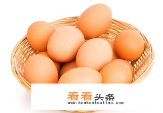 什么品种的鸽子好吃有营养？