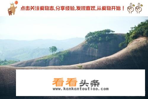 湖南大学暑假放假时间2021？
