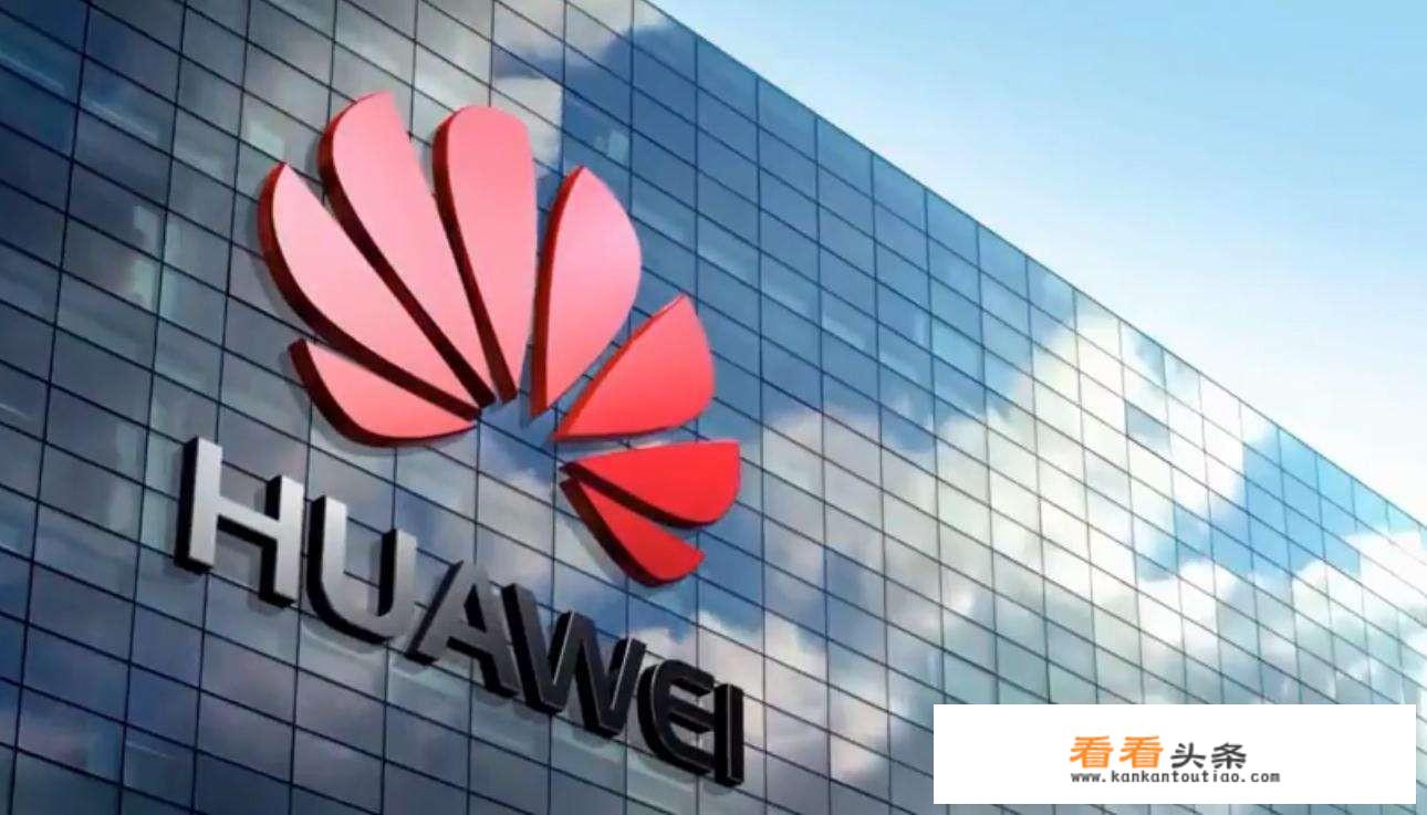 目前情况如果华为聘请罗永浩来应对小米会变成一个什么样的结局？
