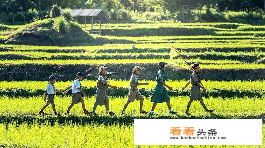 带孩子们去农村亲自体验种地活动，这样的活动合适吗？
