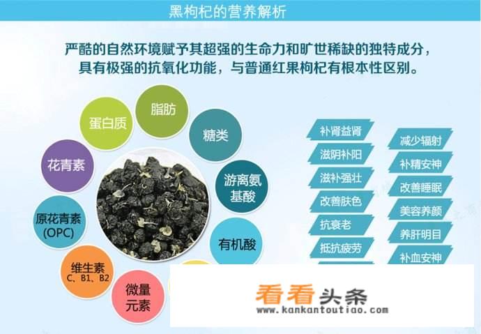 黑枸杞营养价值真的很高吗？