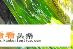 包粽子最简单的 *** ？