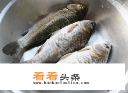 鱼汤怎样才能煮白,放凉水还是热水？