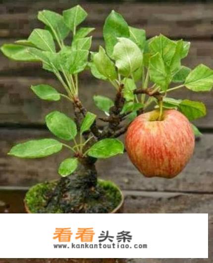 出门旅游或者坐公交经常遇到中年妇女用包给同伴占座，老年大学也有这样的，你怎么处理？