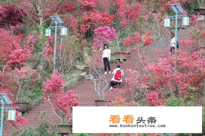 岳西县农村修路政策？