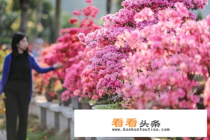 岳西县农村修路政策？