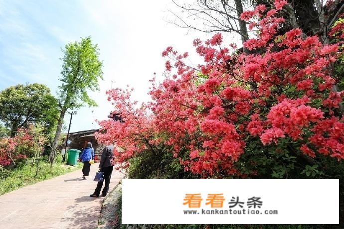 岳西县农村修路政策？