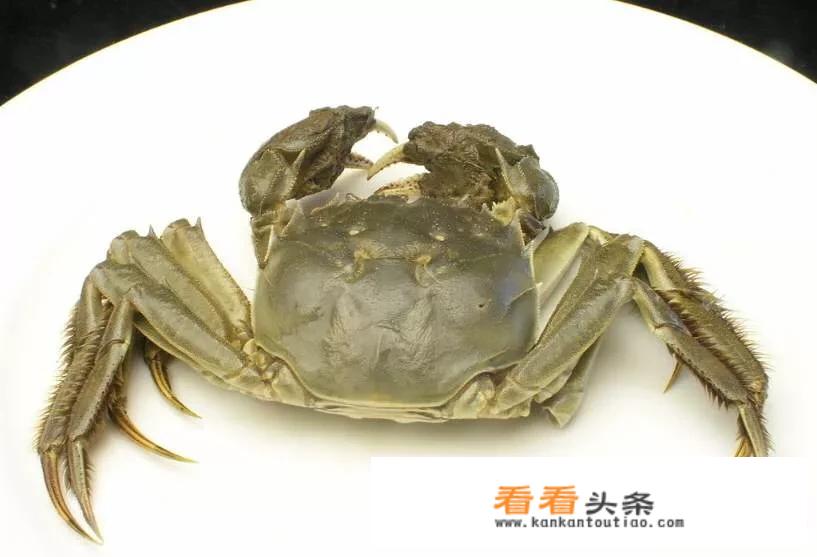 孕妇日常饮食禁忌有哪些。怀孕一月了有哪些适宜吃和不能吃的水果和蔬菜？