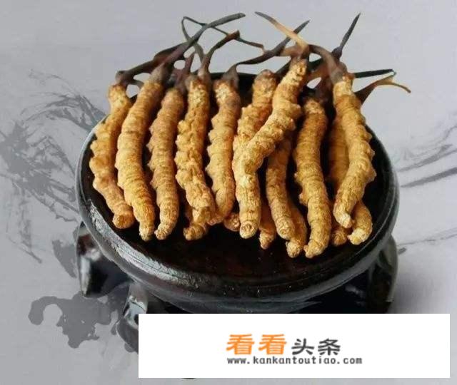 虫草的更佳吃法？