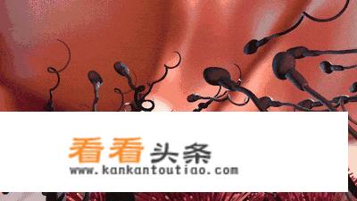 备孕时，男人吃什么对 *** 更好？