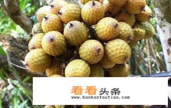 传世的神秘装备去哪鉴定啊？