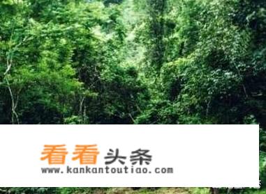 秋天的云南是一年四季中最美的季节之一？