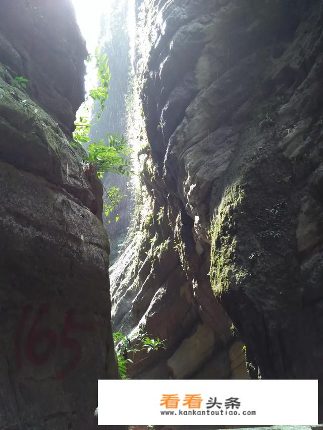 请问到重庆旅游消费贵吗？
