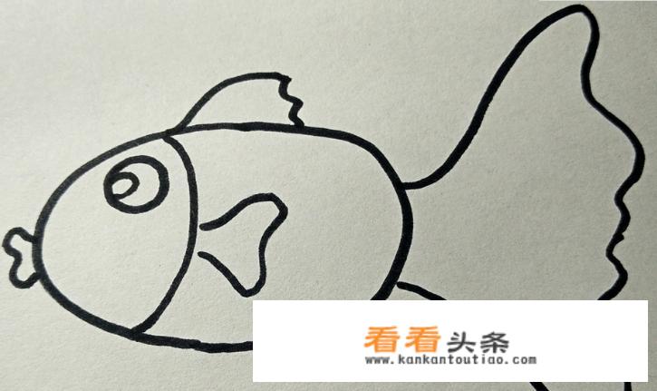 金鱼的品种及图片名称？