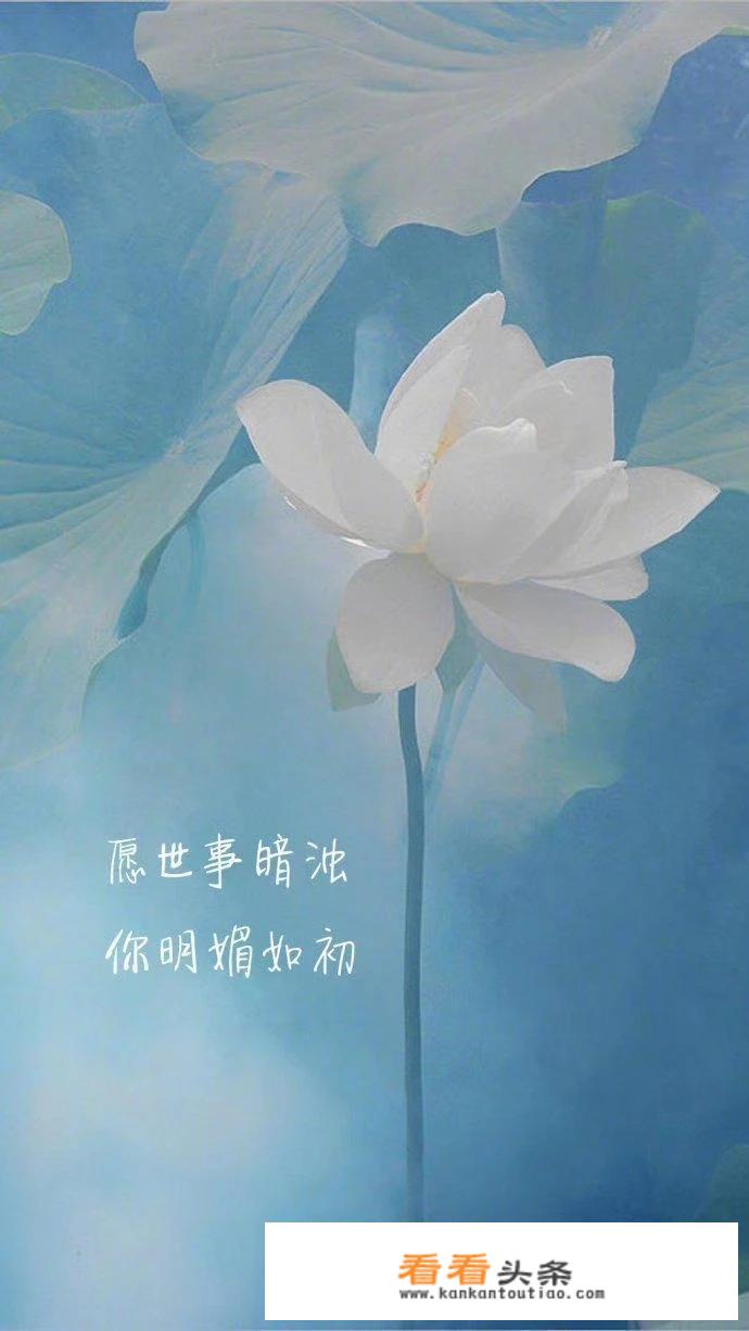 4000的华为手机推荐？