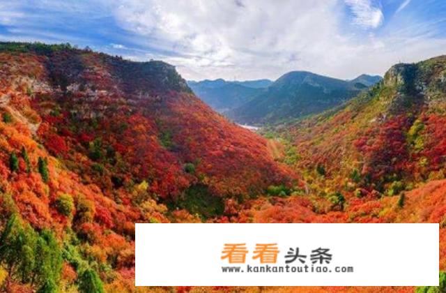 层林尽染的释义？