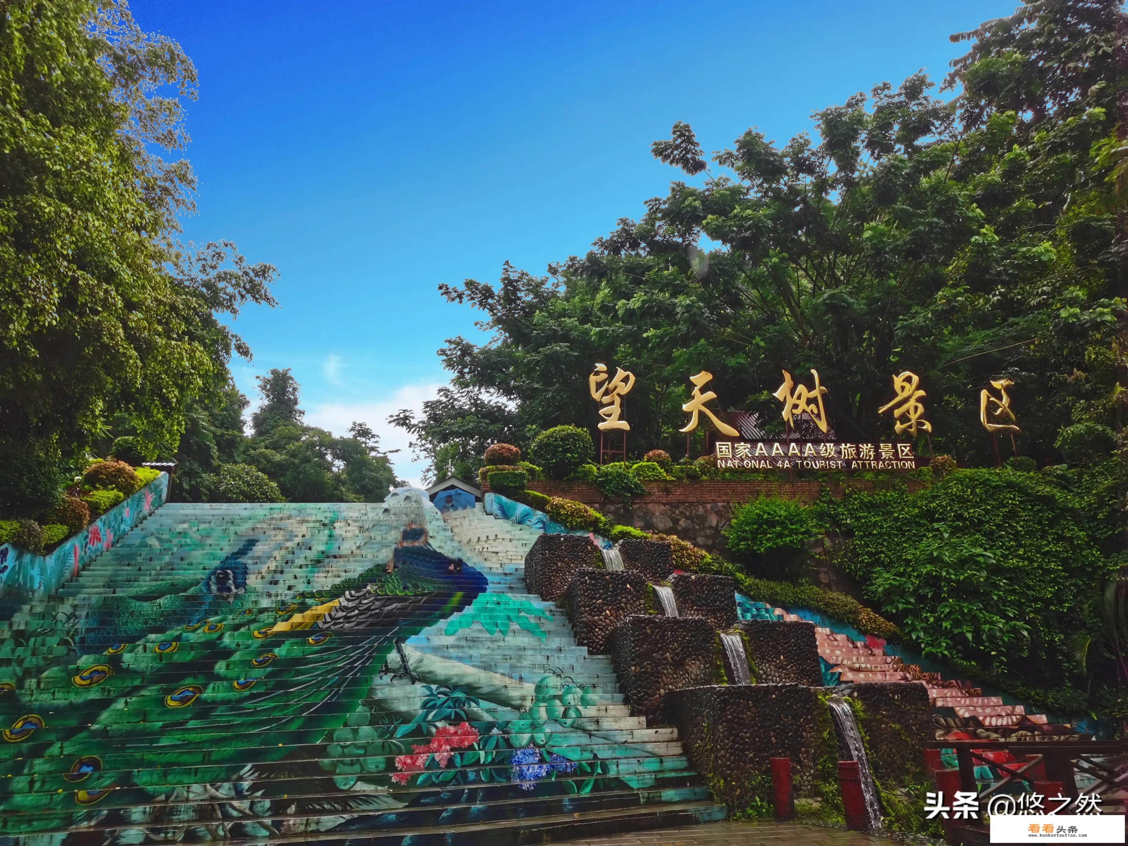 成都坐动车去西双版纳攻略？