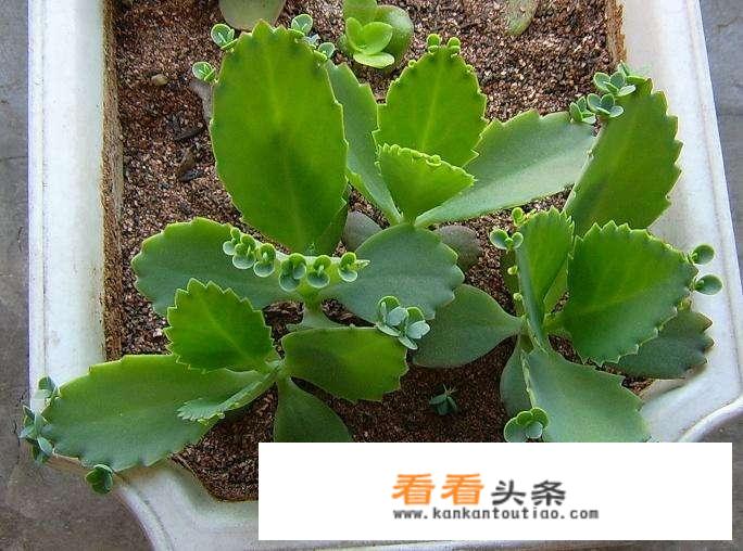 2020湖南宅基地超出面积处罚？