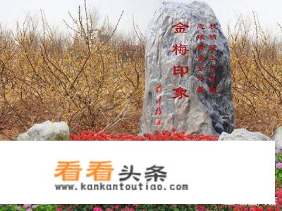 谁能帮我介绍一下铜梁旅游的景致好不好啊？