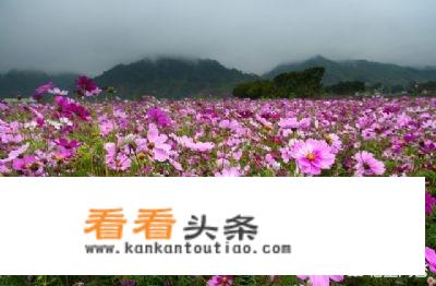 谁能帮我介绍一下铜梁旅游的景致好不好啊？