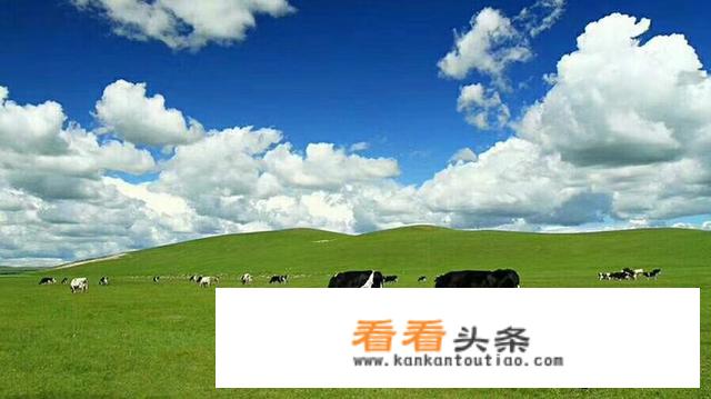 十一适合去内蒙大草原吗？