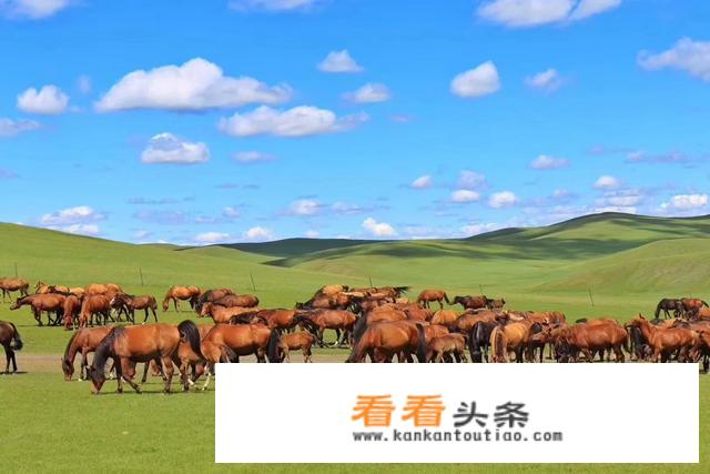 十一适合去内蒙大草原吗？