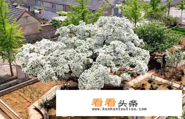 如何开发乡村旅游？